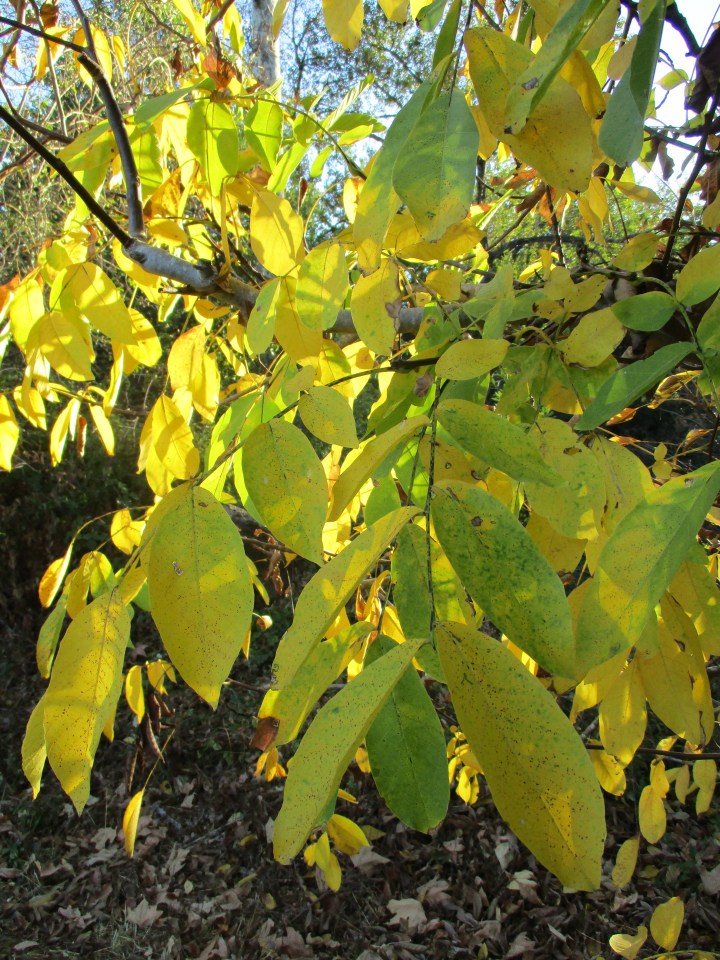 91127thumb(alternate)